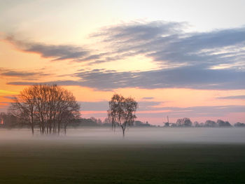 Trees on field against sky during sunset