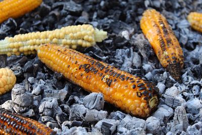 High angle view of sweetcorn on barbecue grill