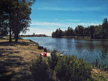 Scenic view of lake in forest against sky