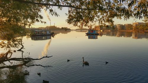 View of boats in calm lake