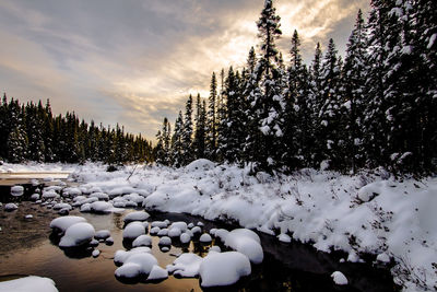 Scenic view of snow covered landscape