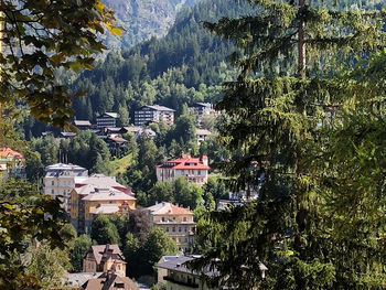 High angle view of townscape and trees in city