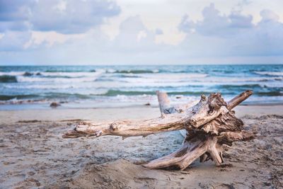 Scenic view of beach against sky