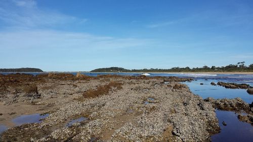 Scenic view of beach against blue sky