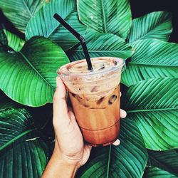 Close-up of hand holding drink