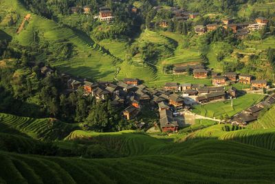 High angle view of houses and terraced fields during sunny day