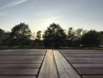 Surface level of trees against sky