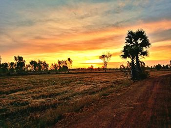 Scenic view of field against sky during sunset