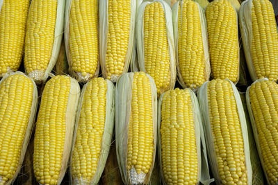 Full frame shot of yellow corns