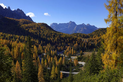 Panoramic view of trees and mountains against sky