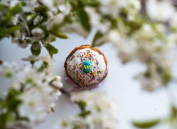 Easter composition with easter cake and blossoming tree branches