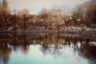 Reflection of bare trees in lake against sky