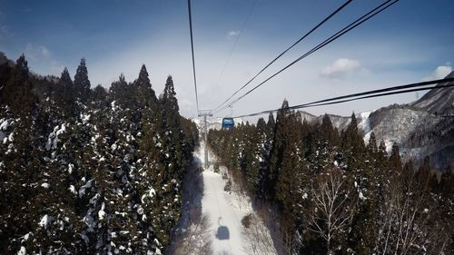 Panoramic view of snow covered trees against sky