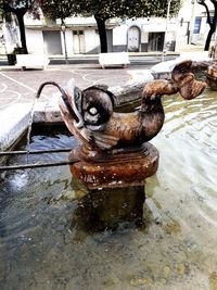 Sculpture of fountain in park