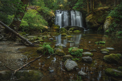 Stream flowing through rocks in forest