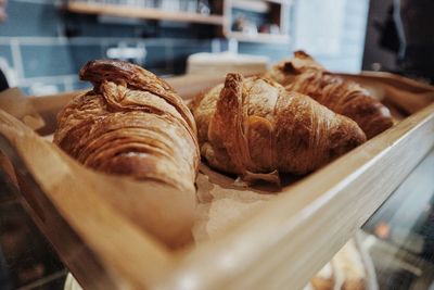 Close-up of croissants in plate