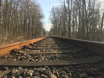 Surface level of railroad track along trees