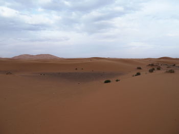 Scenic view of desert against sky