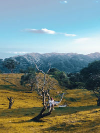 Scenic view of tree on field against sky