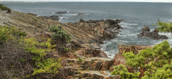 High angle view of rocks on beach