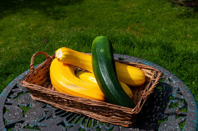 High angle view of basket in field