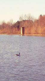 Calm lake with trees in background