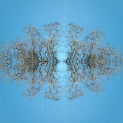 Close-up of water against clear blue sky