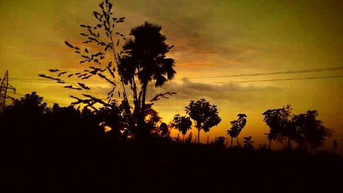 Silhouette plants against dramatic sky during sunset