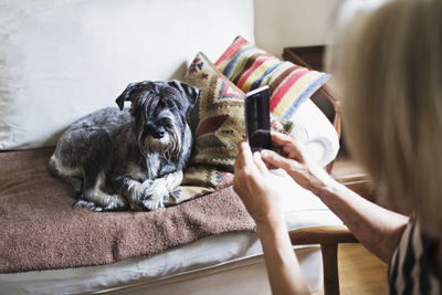 Cropped image of senior woman photographing dog through smart phone at home