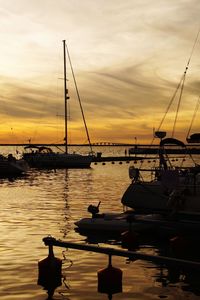 Sailboats  in marina at sunset