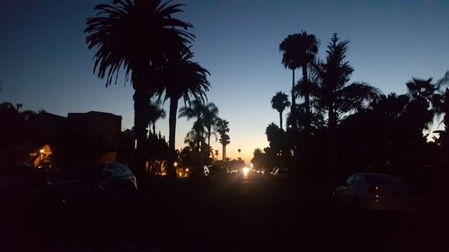 Silhouette palm trees against sky at sunset