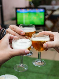 Cropped image of friends toasting beer glasses