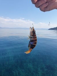 Person holding fishing net in sea against sky