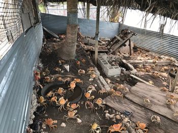 High angle view of damaged wall