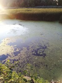 High angle view of lake