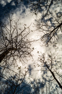 Low angle view of bare tree against cloudy sky