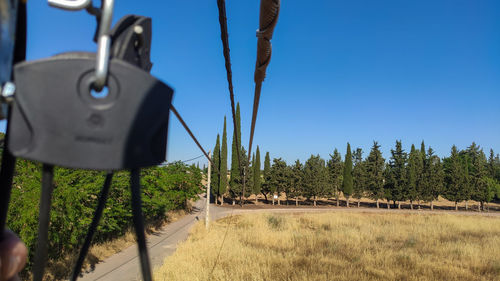 Plants growing on field against sky
