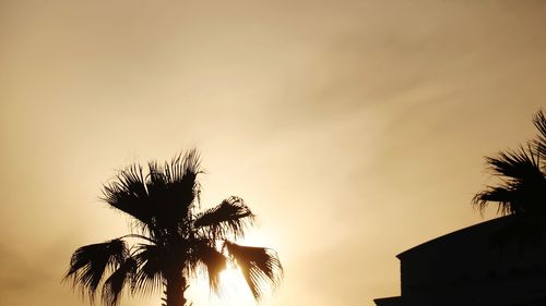 Low angle view of silhouette palm trees against sky during sunset