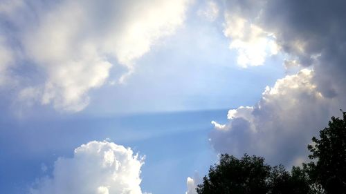 Low angle view of trees against sky