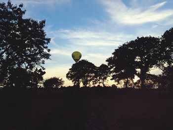 Silhouette of trees on landscape at sunset