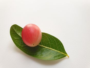 Close-up of fruits against white background