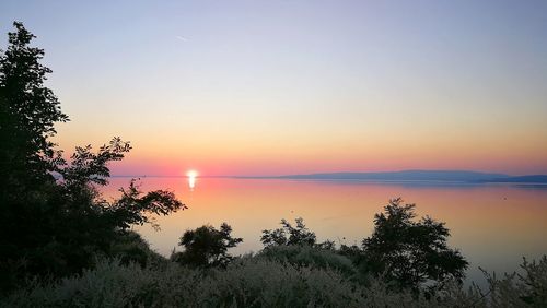 Silhouette trees by sea against sky during sunset