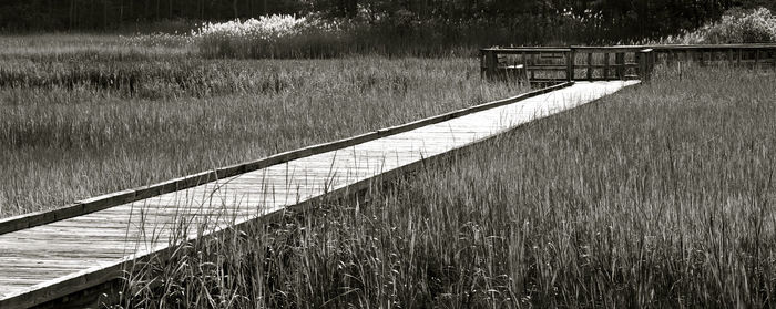 Scenic view of grass by water