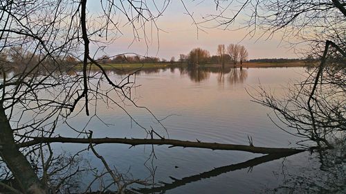 Reflection of trees in lake