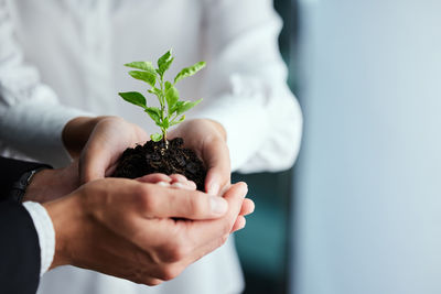 Midsection of woman holding plant