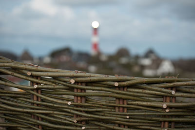 Close-up of wattle fence outdoors