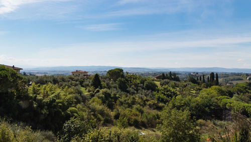 Trees on landscape against sky