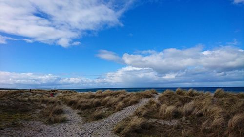 Scenic view of beach against blue sky