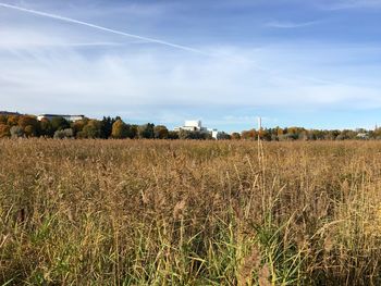 Scenic view of field against cloudy sky