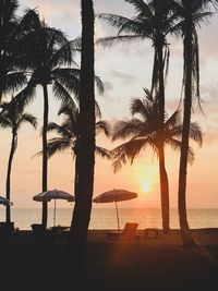 Silhouette palm trees on beach against sky during sunset